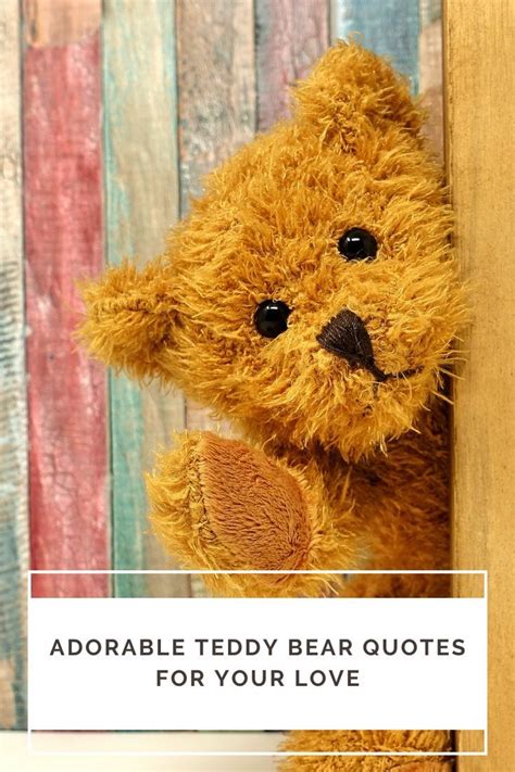 teddy bear quotes love|most lovable teddy bear quotes.